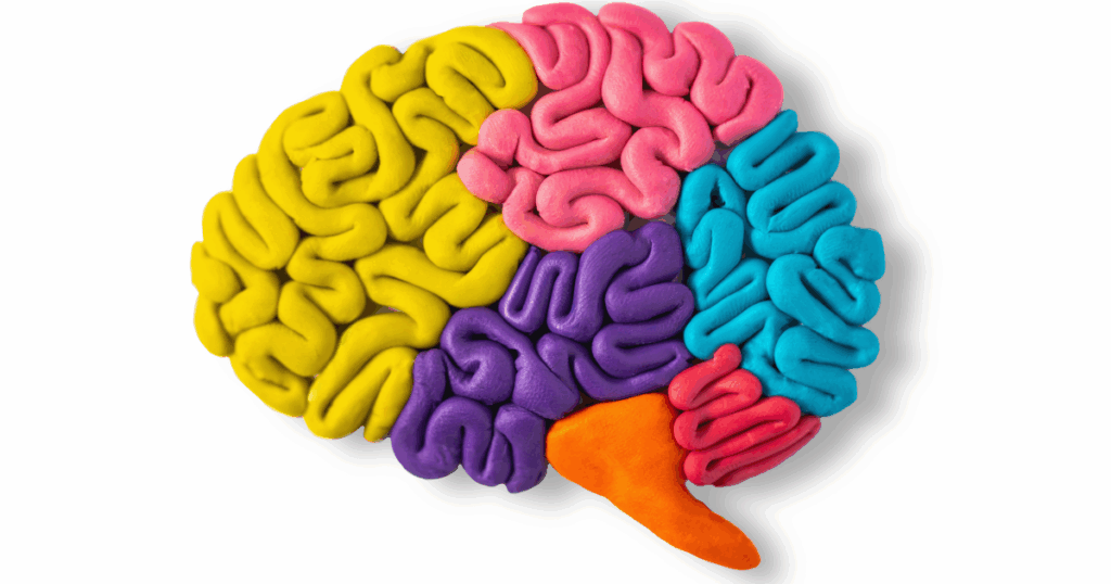 colorful human brain